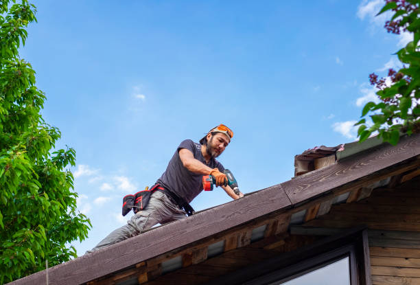 Best Siding  in Saylorville, IA